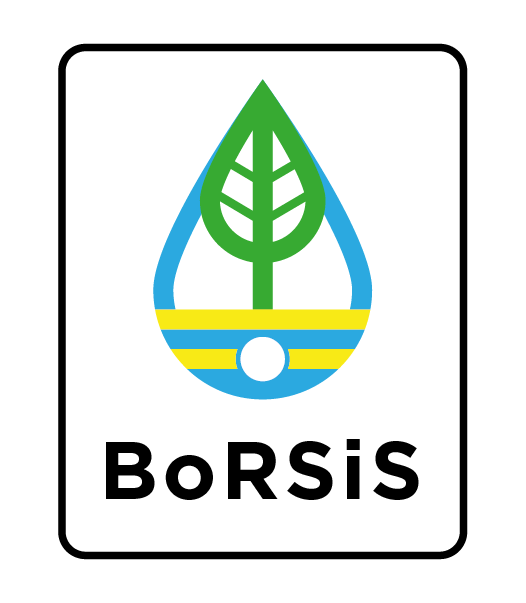 BoRSIS logo